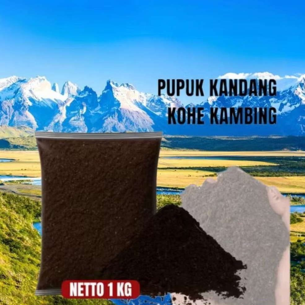 KOHE SRINTIL/KOHE KAMBING SUDAH DI GILING