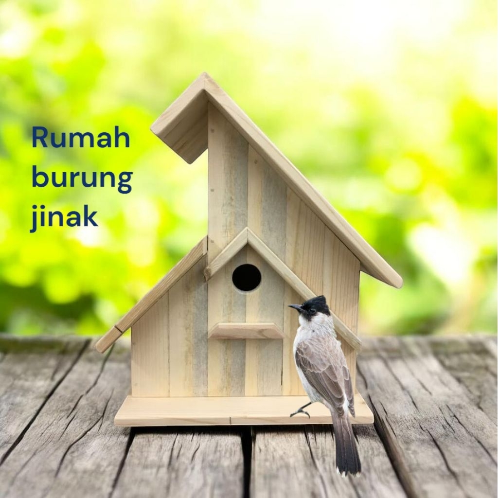 kandang burung jinak