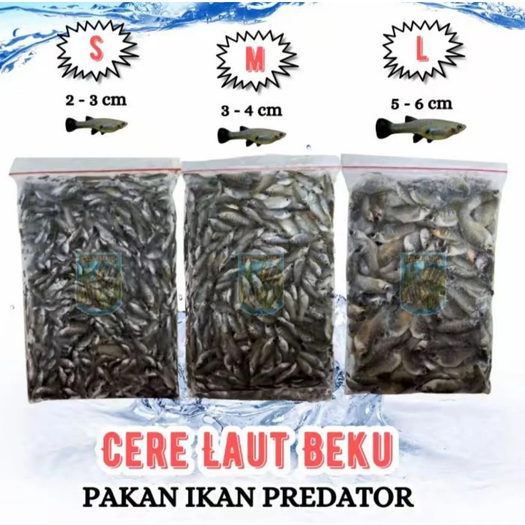 Ikan Cere Laut Beku Cere Laut Fresh 500gr