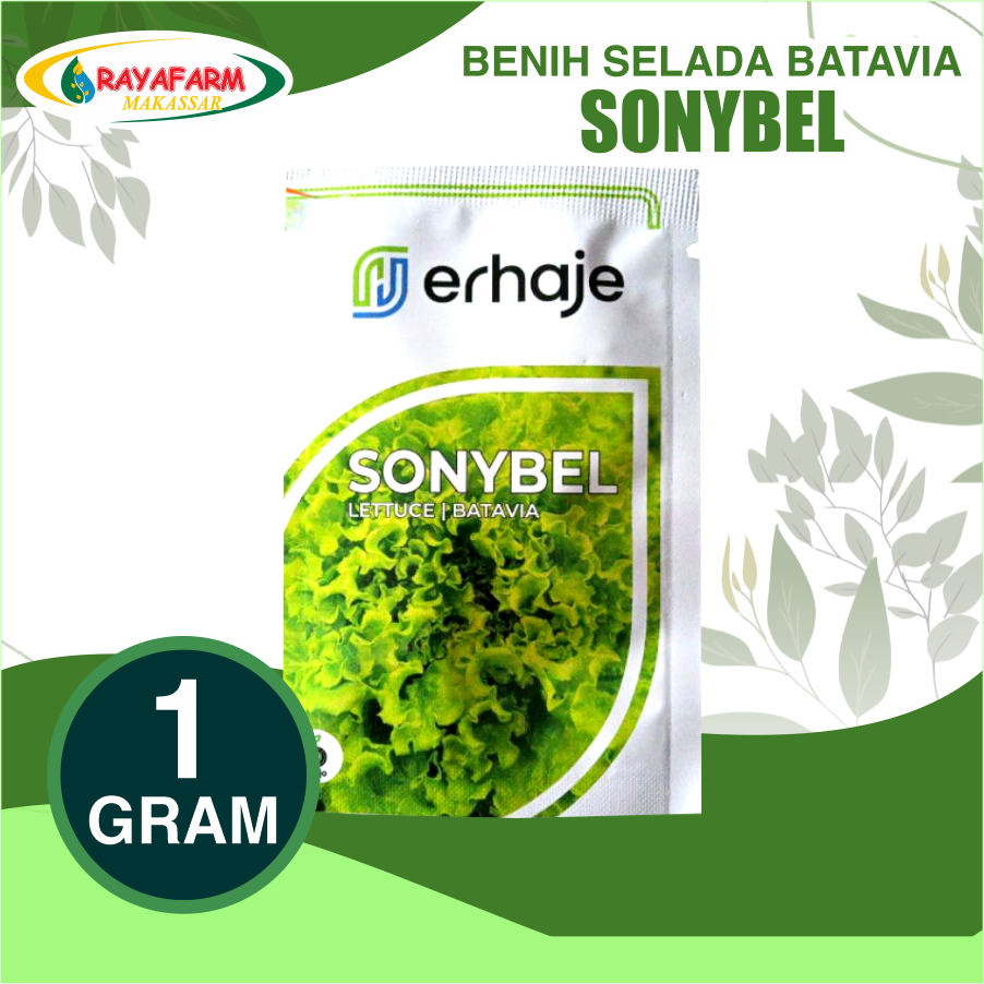 Benih Bibit Selada Batavia Sonybel 1gr - Bejo Seed