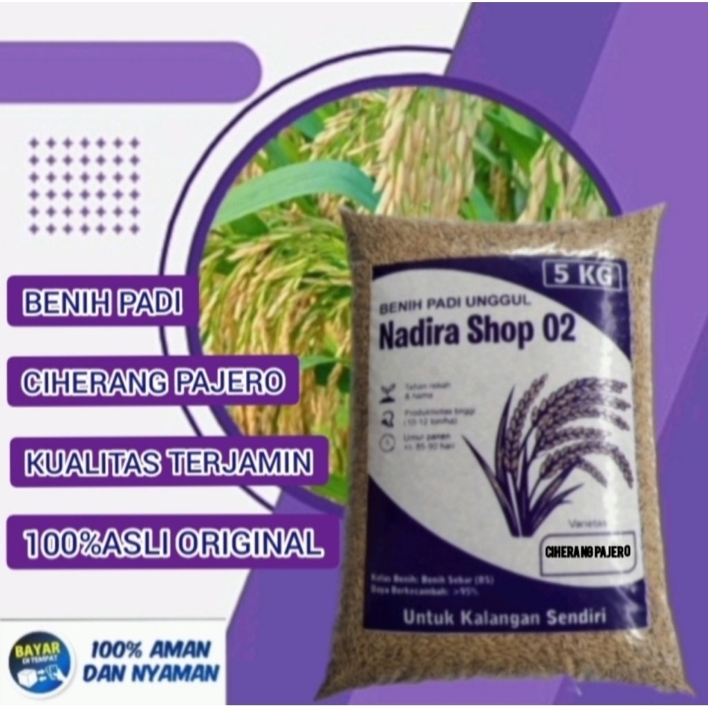 Benih bibit padi ciherang pajero kemasan 5kg kualitas terjamin 100% asli