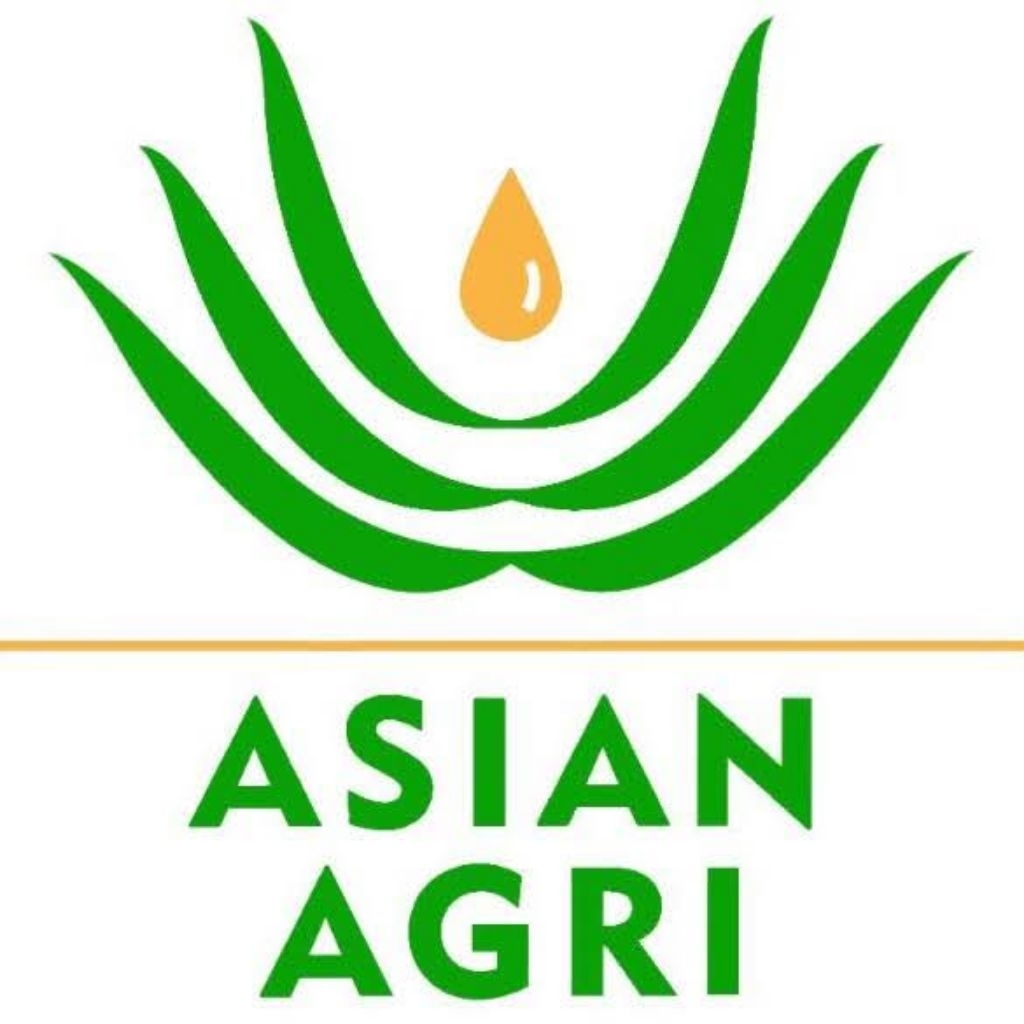 KECAMBAH SAWIT ASIAN AGRI ORIGINAL  BALAI BENIH