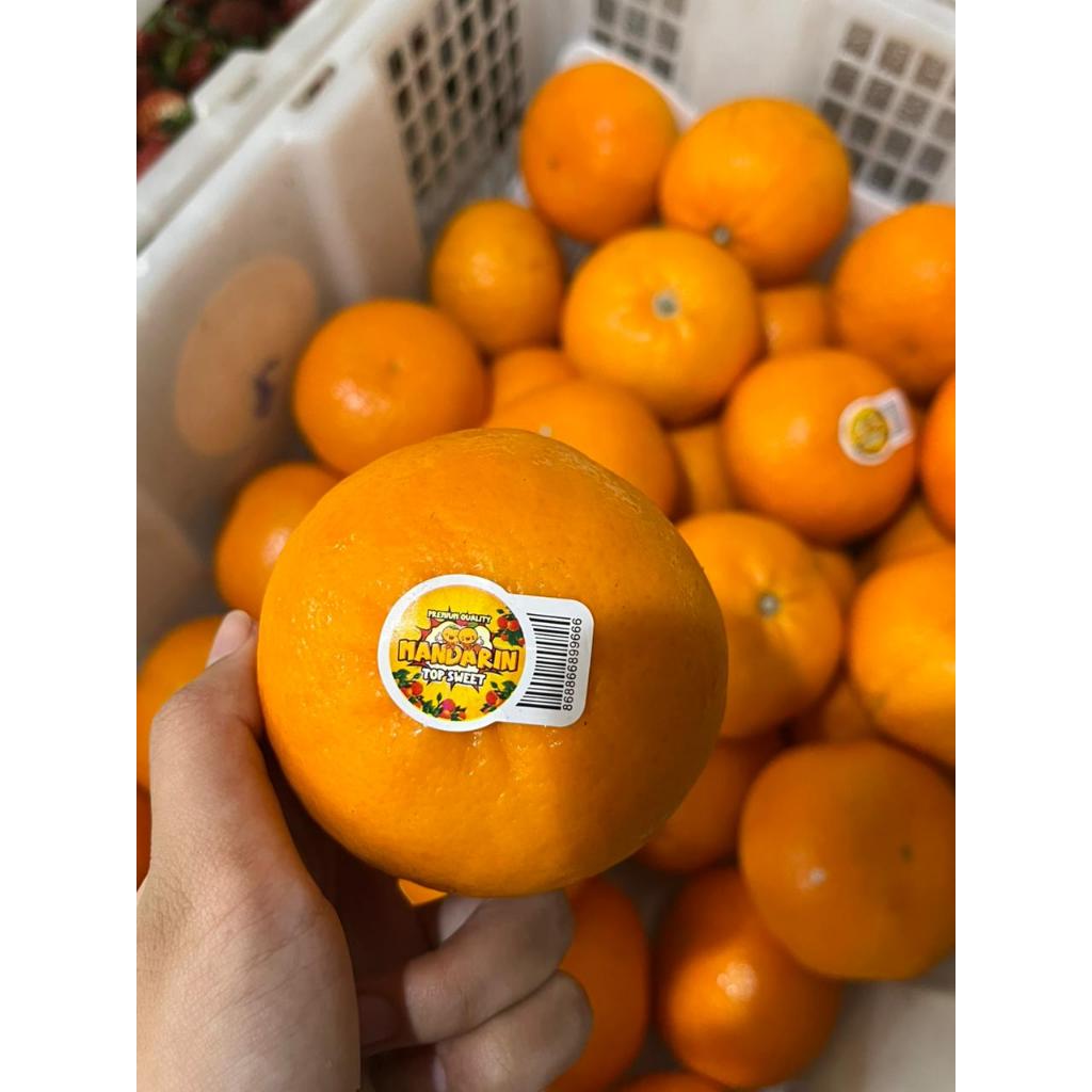 Jeruk Mandarin/jeruk Mandarin 1kg/jeruk Mandarin segar/buah segar