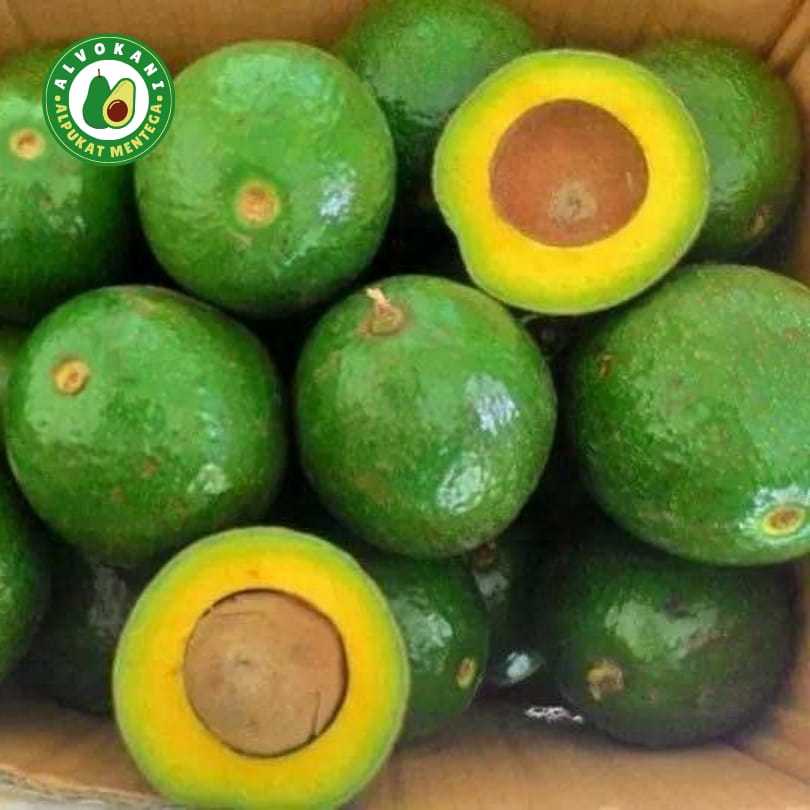 Alpukat  Matang Miki 2kg isi 5-6 butir Fresh Berkualitas – Cocok untuk Jus, Salad & Smoothies