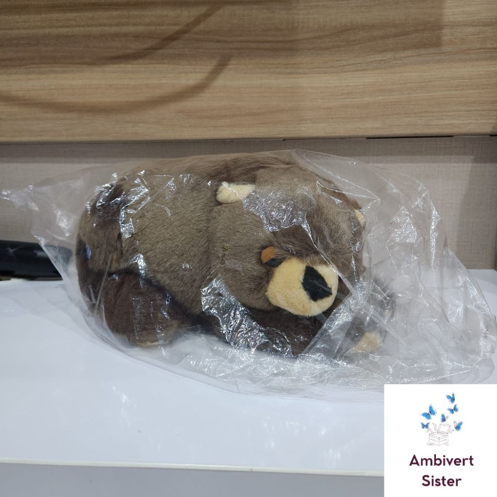 [ BARU ] Koleksi Mainan Boneka Plushie Bear Boneka Beruang Warna Dark Brown Cokelat Tua Spring Air