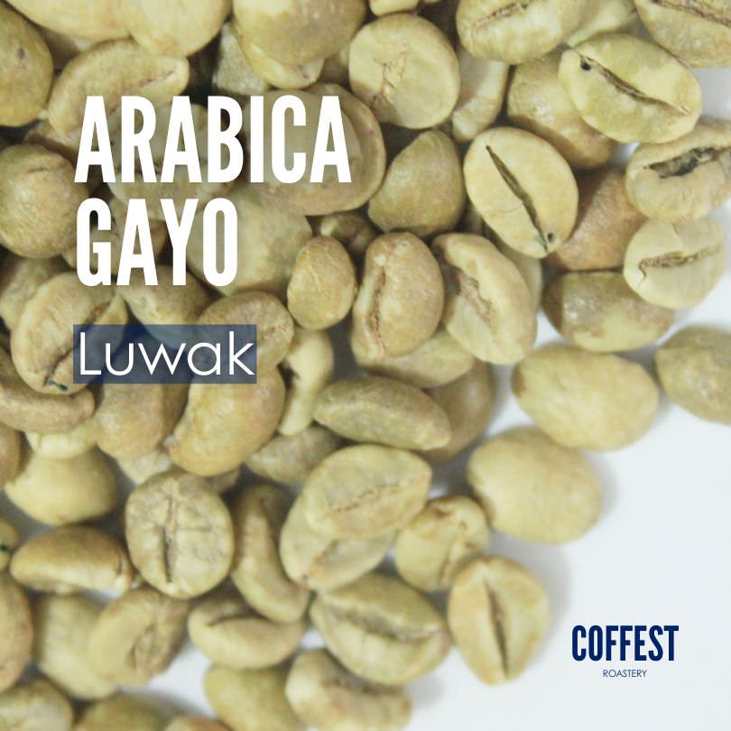 Green Bean Specialty Arabika Gayo - Luwak Processed - 1 kg