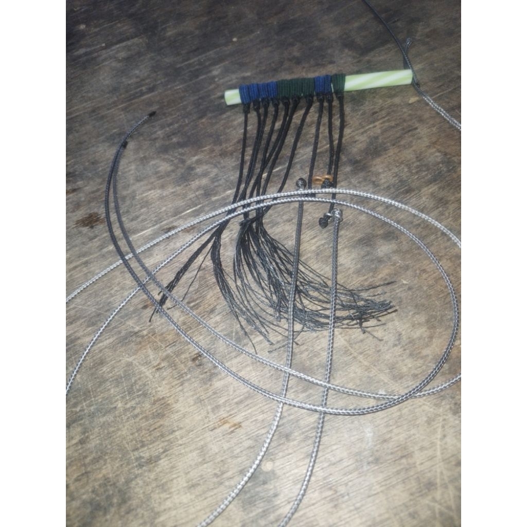 tali kaki burung tekukur