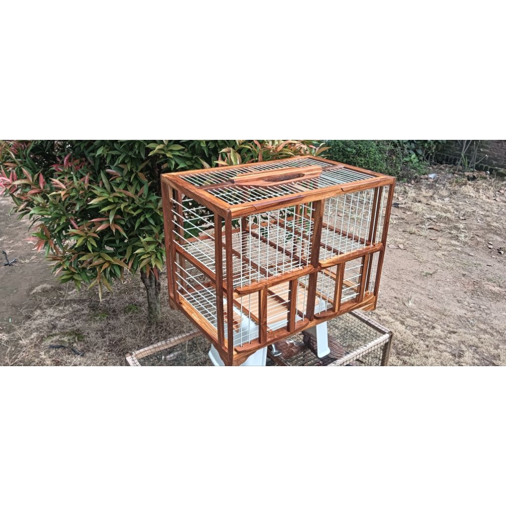 dondang merpati untuk 2pasang bahan kayu jati jari-jari full fiber.