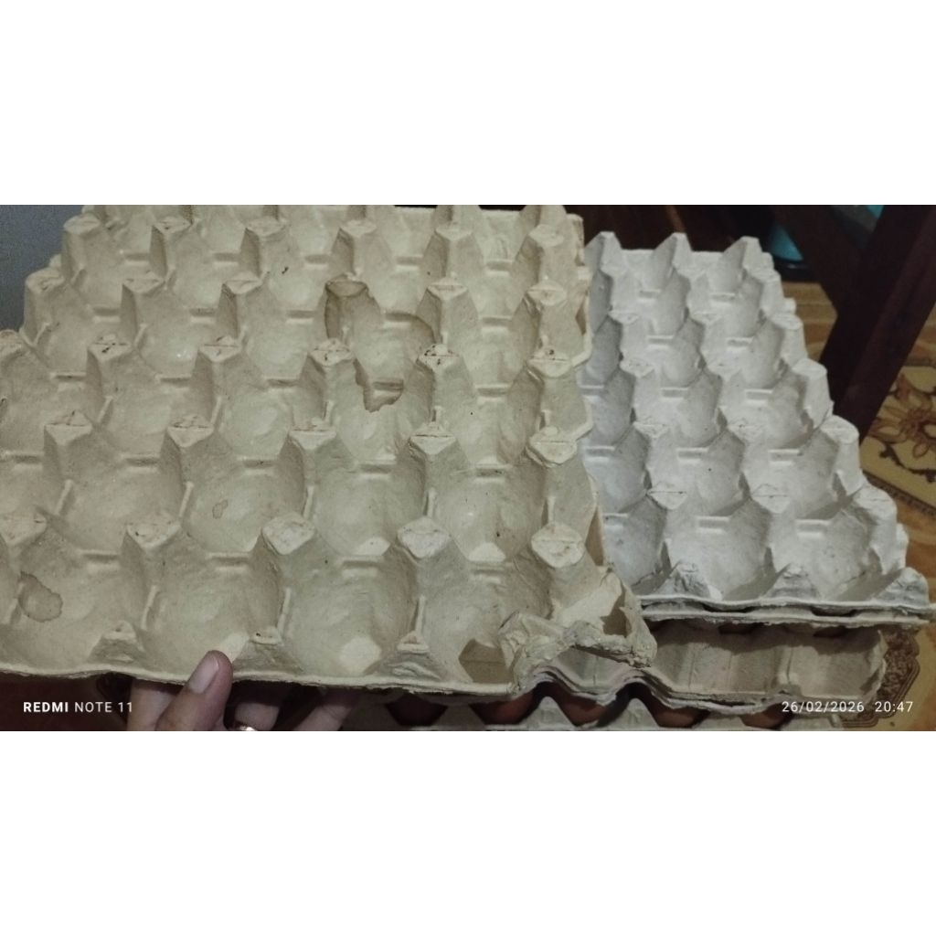 Tray telur/Wadah Telur