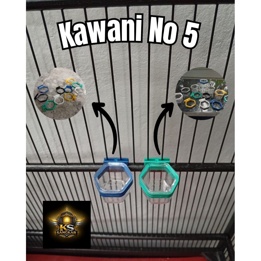 cepuk kawani no5 cepuk burung kecil cepuk makan minum burung kecil kolibri pleci