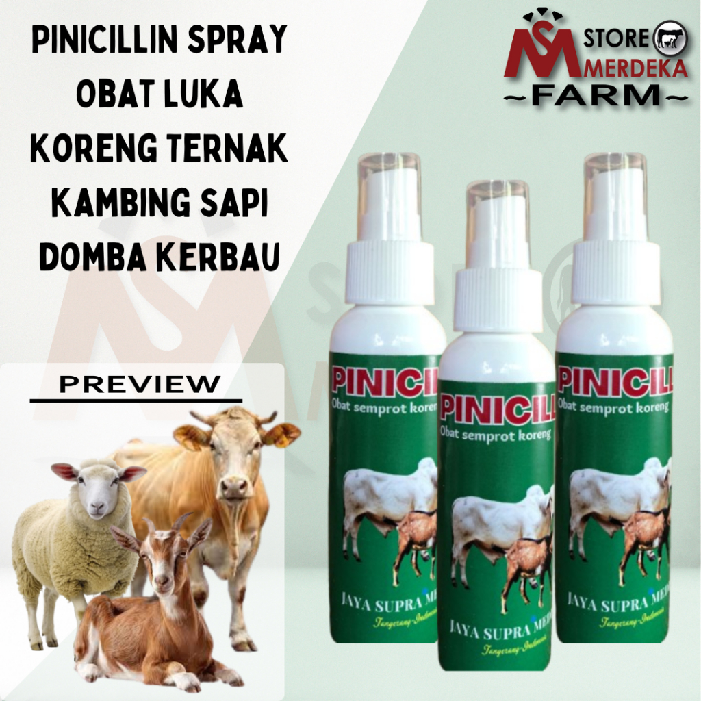 Pinicillin Spray Obat Luka dan Koreng Anti Bakteri untuk Sapi, Kambing, Domba Pinisilin
