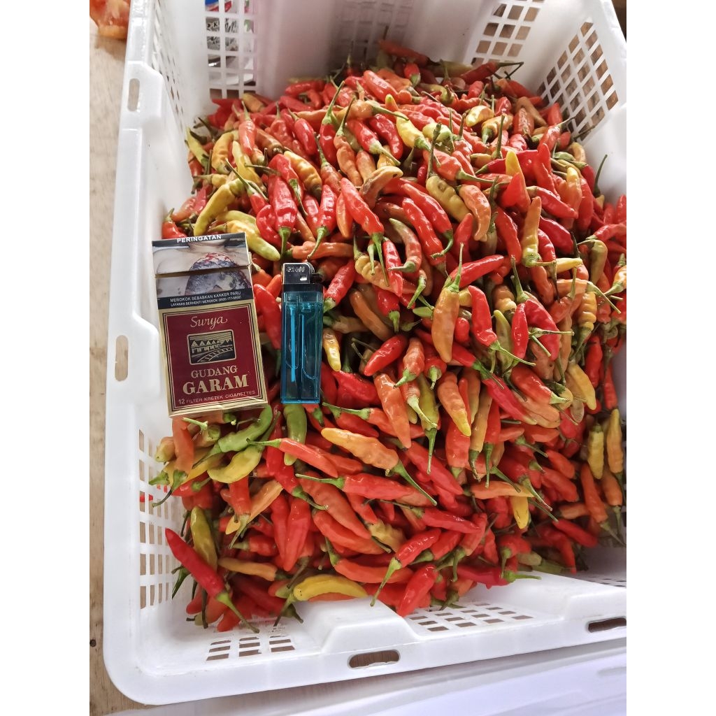 cabe rawit merah 1kg