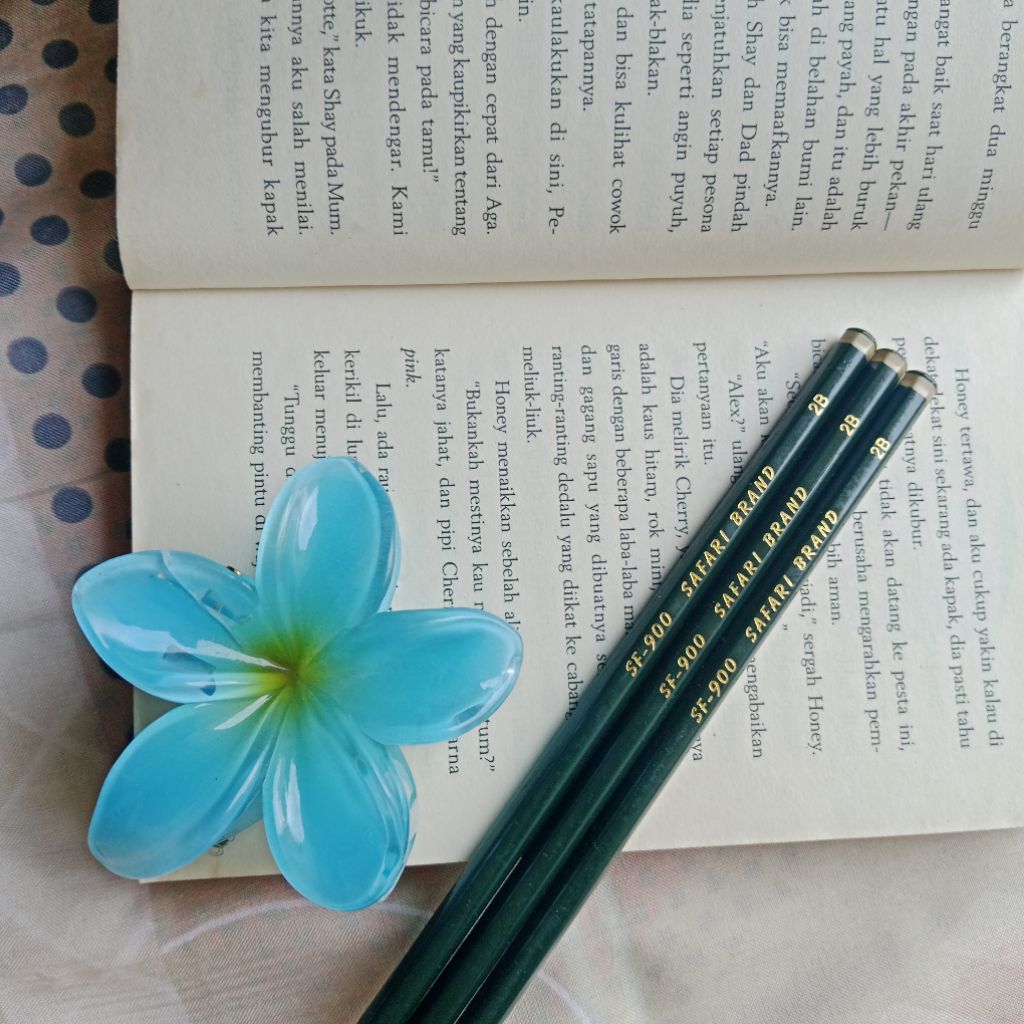 3Pcs Pensil2B SafariBrand