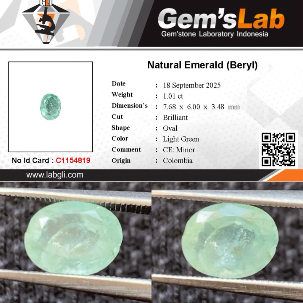 1,01 cts Natural Colombia Emerald Beryl (Zamrud) CE Minor Memo GLI