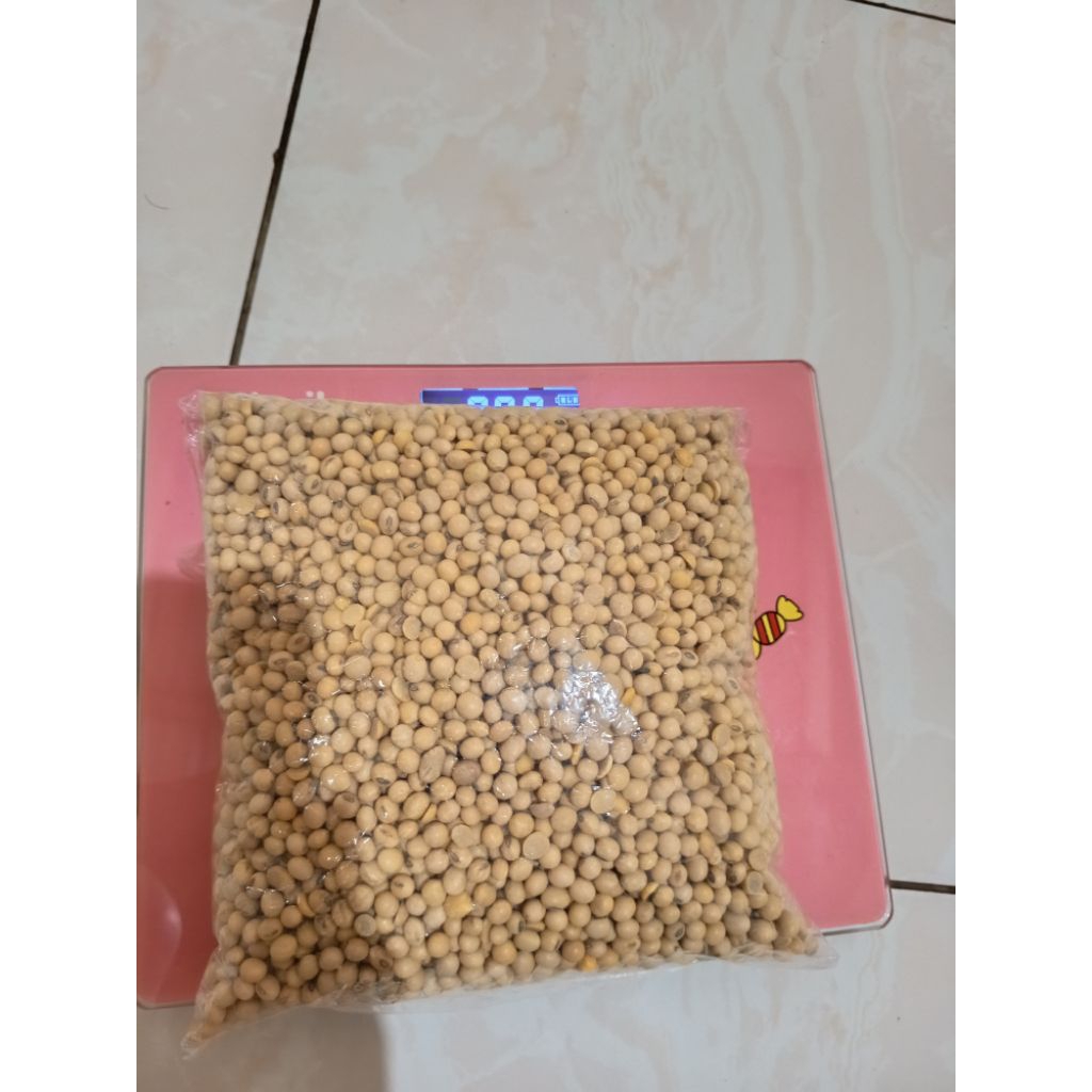 Kacang Kedelai Mentah Import