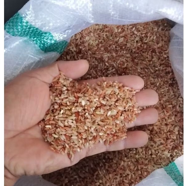 Beras Merah 1kg / Promo Beras Merah / Beras Merah Diet