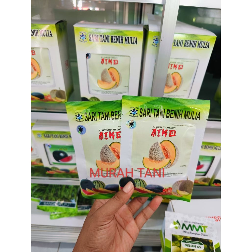 Benih Bibit Melon Aiko F1, Setipe Delon 65 F1 (Rock Melon Daging Merah Jumbo Bangkok dan Tahan Virus