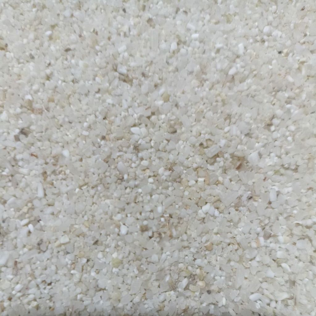 BERAS MENIR 1 KG MAKANAN AYAM PAKAN AYAM