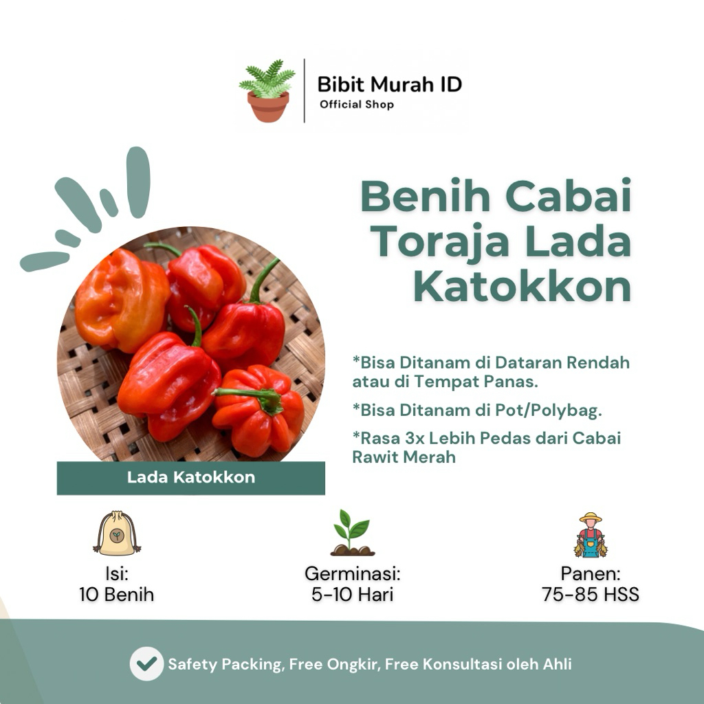 10 Benih Cabai Rawit Toraja/Lada Katokkon - 3x Lebih Pedas dari Cabai Rawit Biasa - Bibit Murah ID