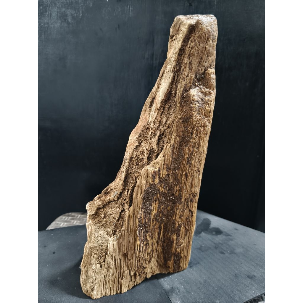 Batu fosil aquascape  kayu type tebing