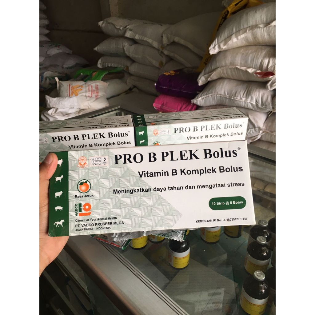 PRO B PLEK BOLUS vitamin b komplek
