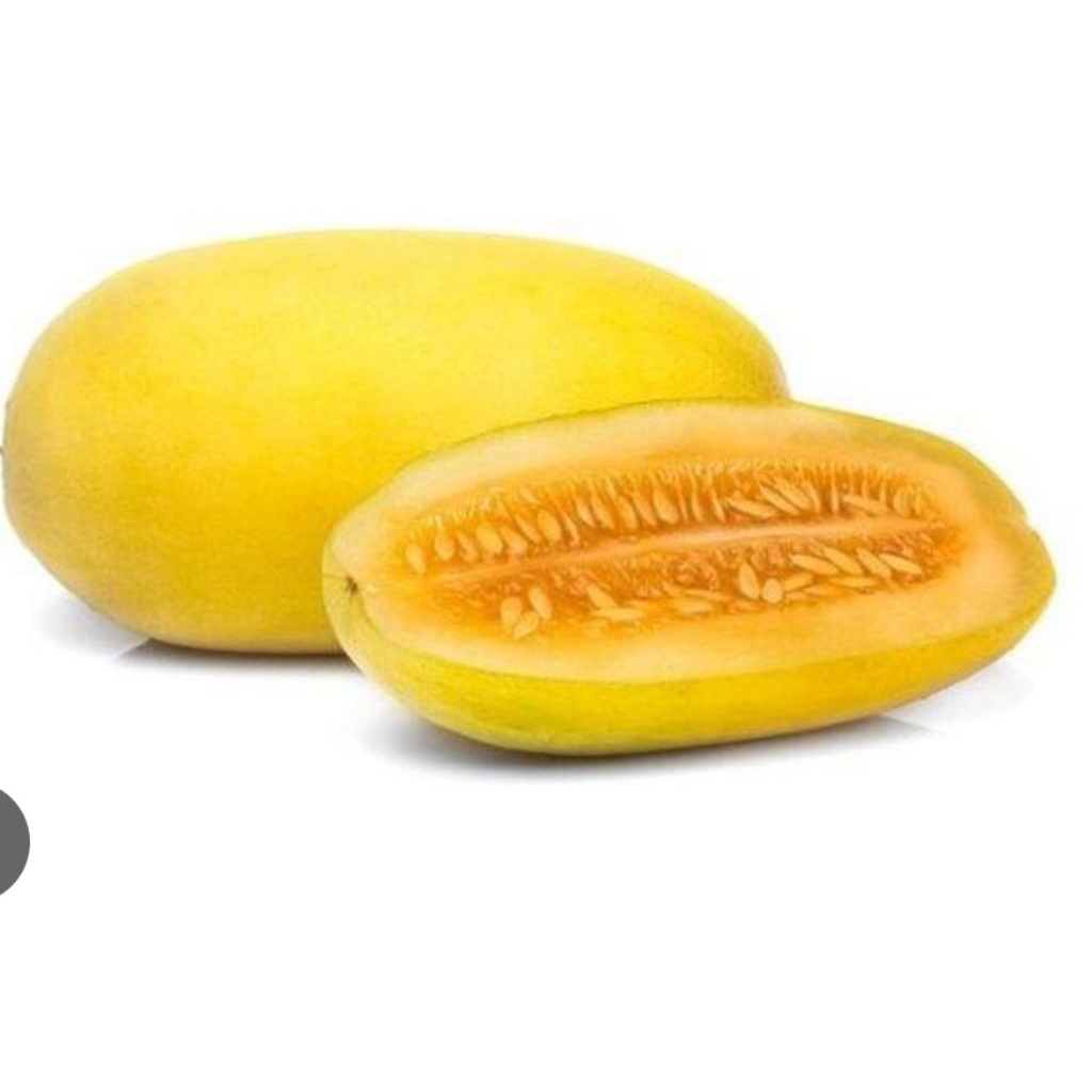 Benih biji Timun Suri/Timun mas 2pcs/pack