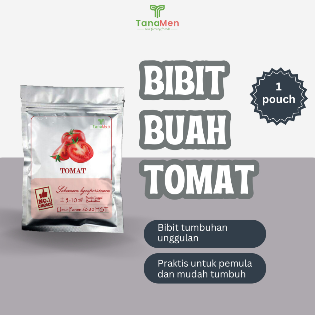 Tanamen Bibit Buah Tomat Benih Unggul Berkualitas