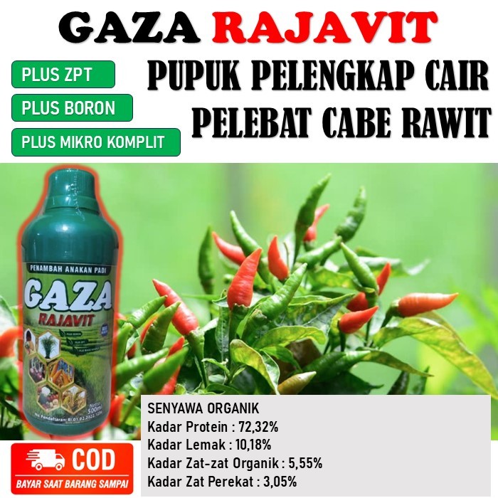 Gaza Rajavit pupuk pelengkap cair pelebat tanaman cabe plus ZPT plus boron - Gaza Rajavit membantu m