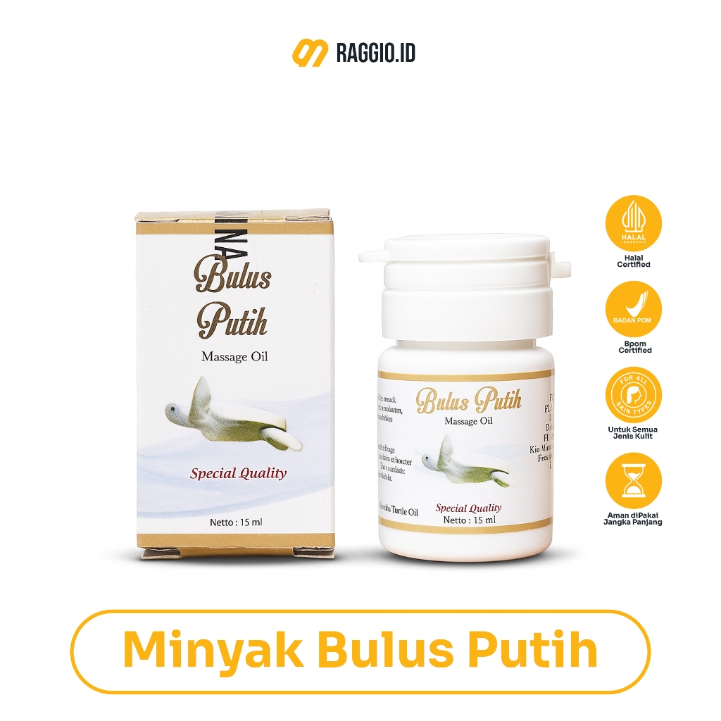 Minyak Bulus Putih Original – Pembesar & Pengencang Payudara, Cerahkan Kulit, Hilangkan Stretch Mark