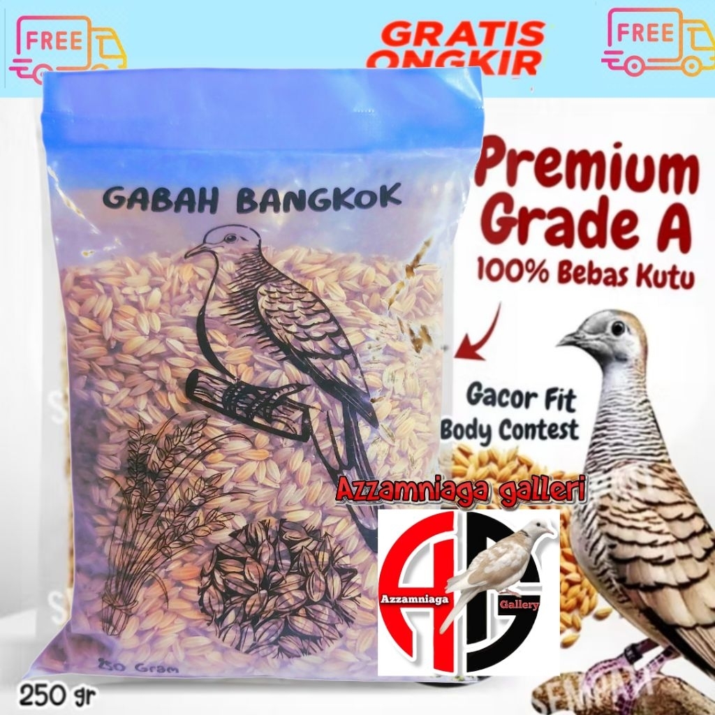 GABAH BANGKOK GABAH PERKUTUT  BANGKOK 250 GR PAKAN BURUNG PERKUTUT