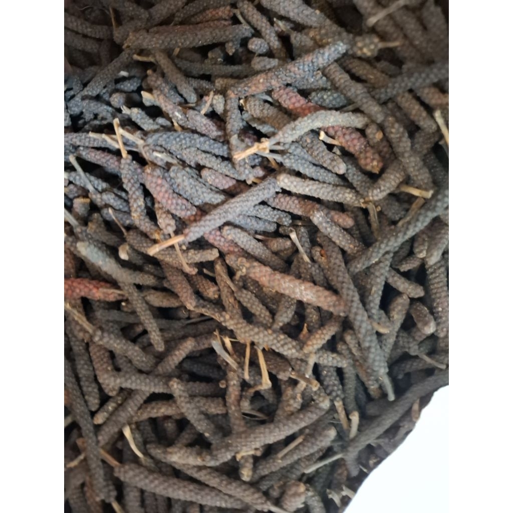 cabai jamu cabe jawa bisa COD bayar ditempat,hasil budidaya sendiri