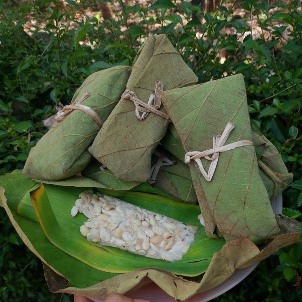 Tempe kedelai bungkus daun jati