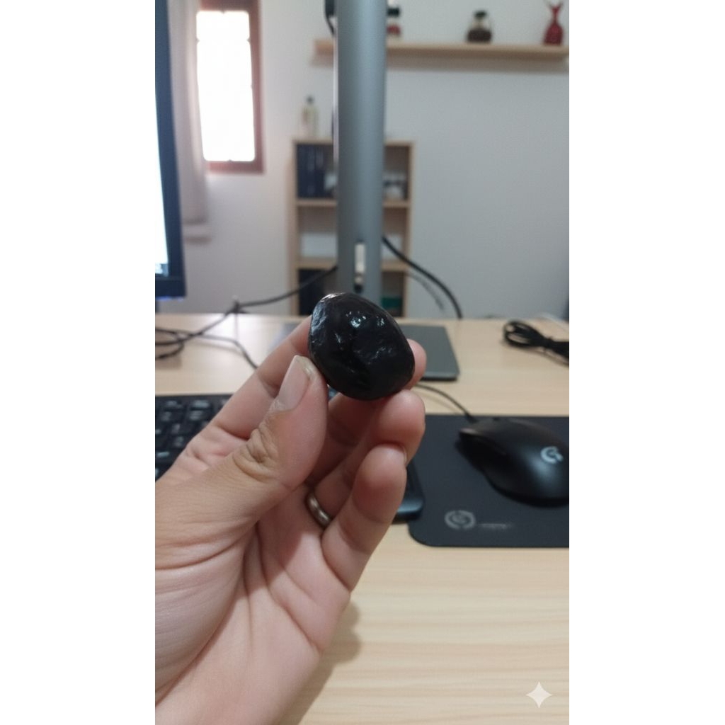 muncang adu Jawa arin