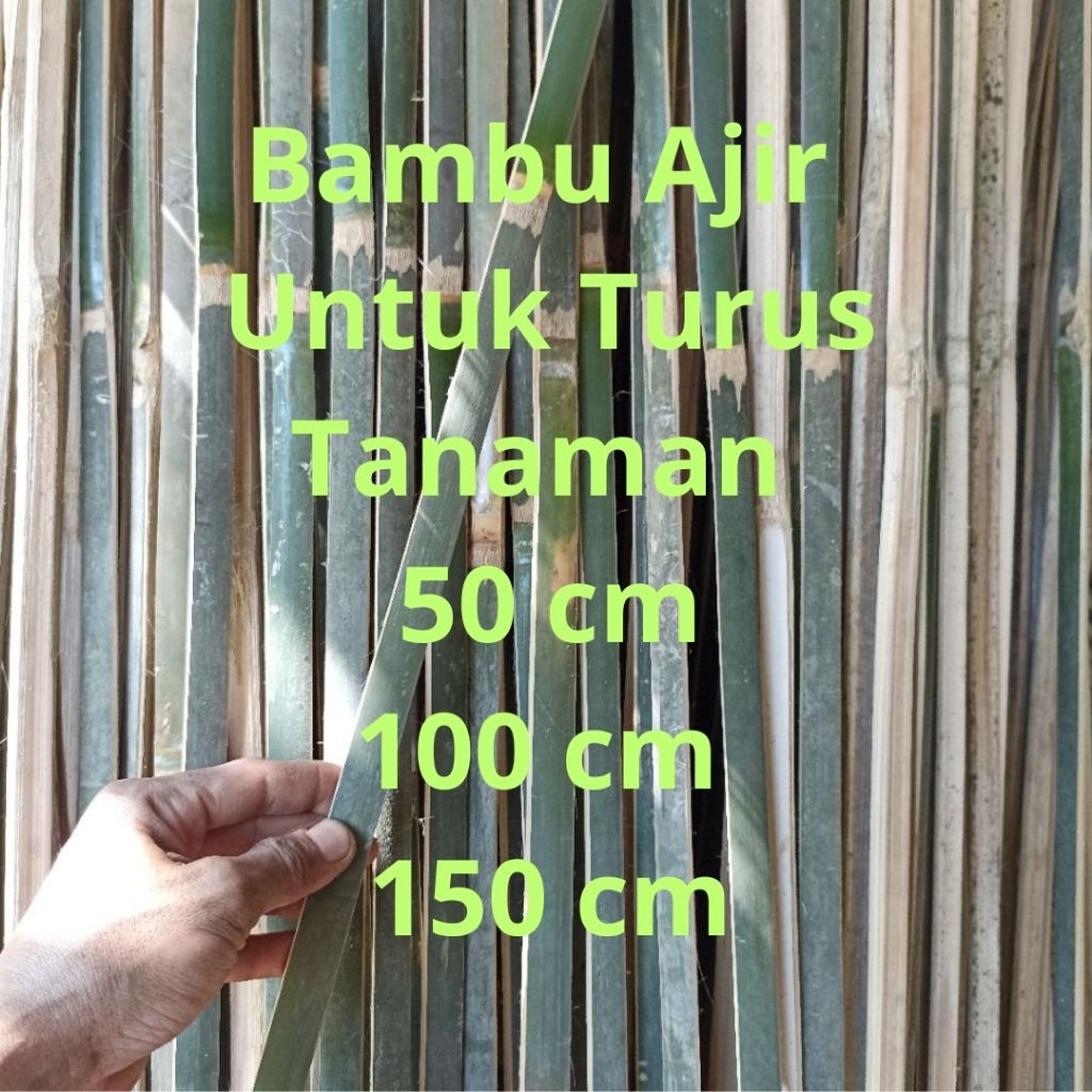 Bambu Bilah Bambu Ajir Untuk Turus Tanaman, untuk Layangan, untuk Kandang