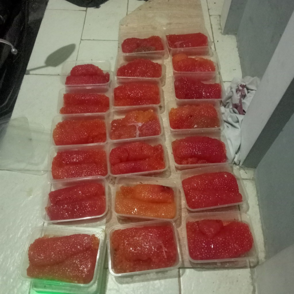 Telur Ikan Sembilang Segar 500gr – Umpan Pancing Galatama