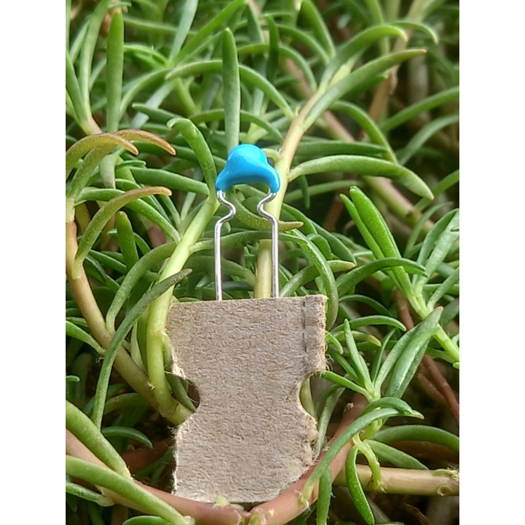 kapasitor 100pf 100p 101pf 1kv