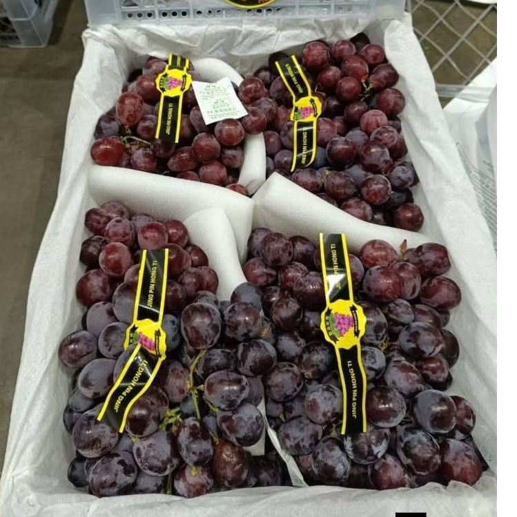 ANGGUR RED GLOBE PITA 1KERANJANG 5kg