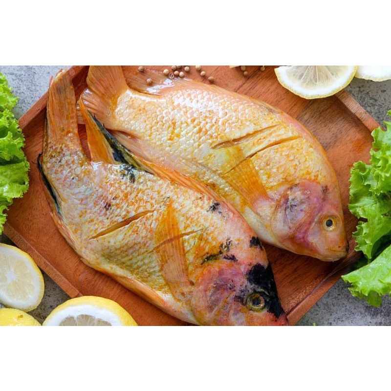 Ikan Nila Bumbu kuning siap goreng / Ikan nila vacum isi 3