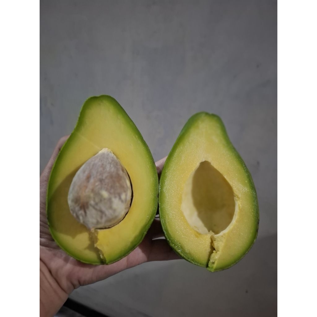 Alpukat super jenis aligator 1kg isi 2/3