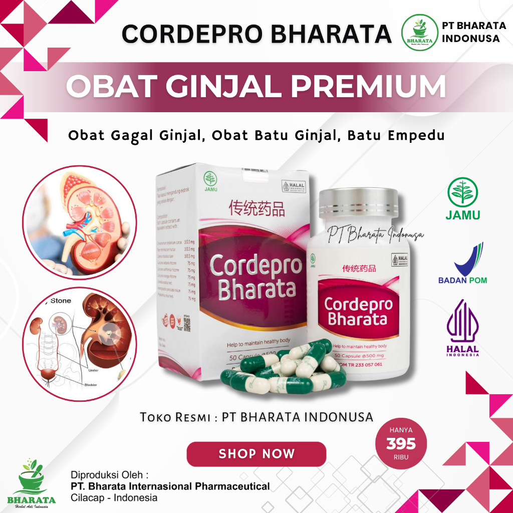Obat Ginjal Premium CORDEPRO BHARATA Original Obat Batu Ginjal Obat Batu Empedu Obat Radang Ginjal