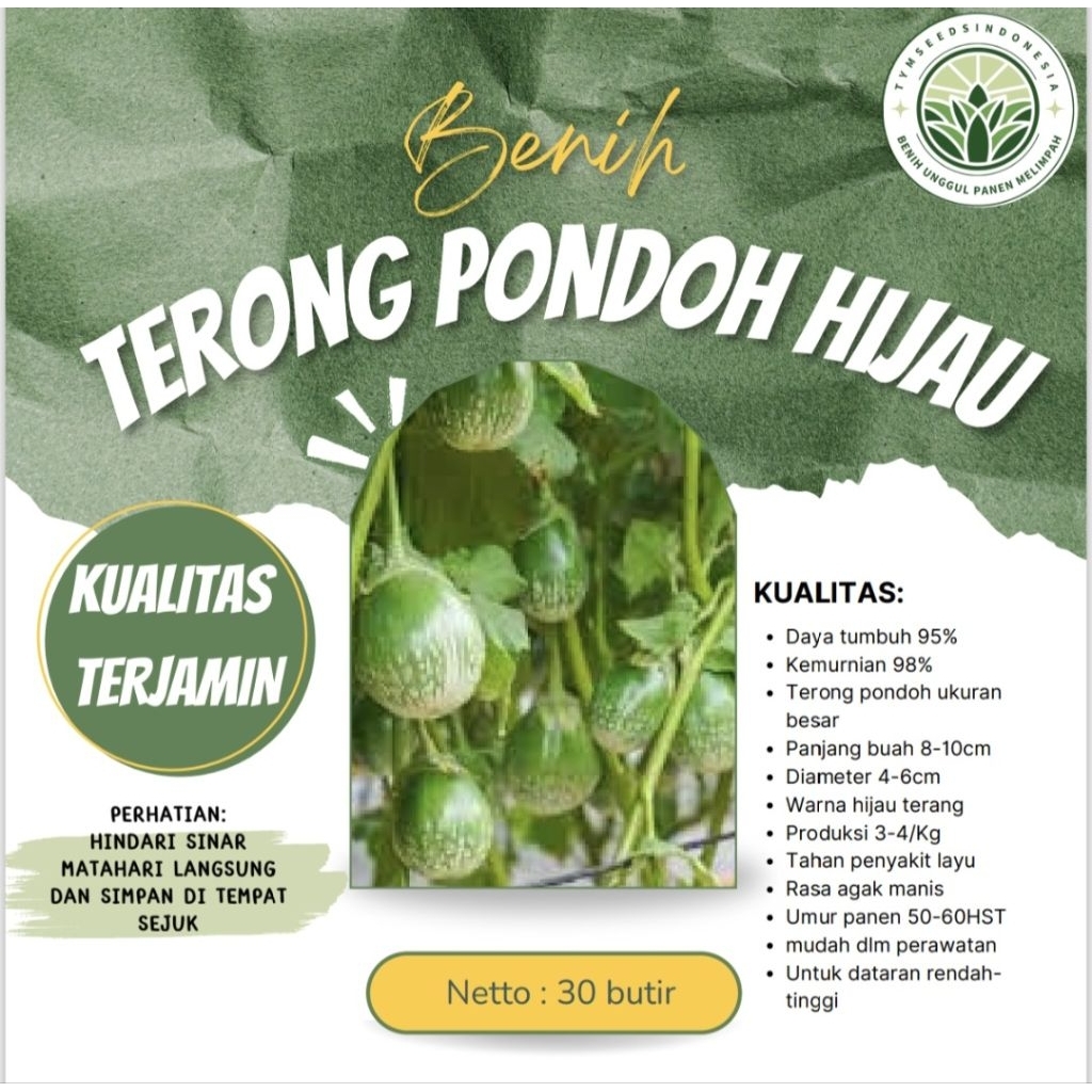 Benih Super terong pondoh hijau