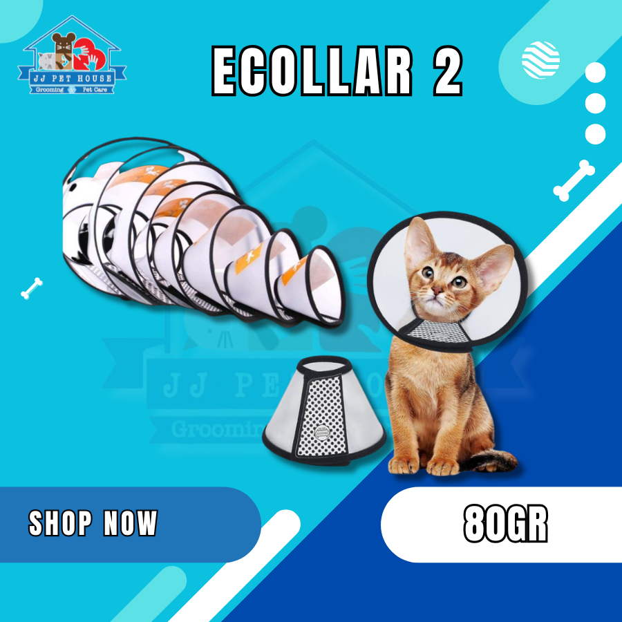 ECOLLAR 2 - MAINAN LEHER HEWAN KUCING AND DOG