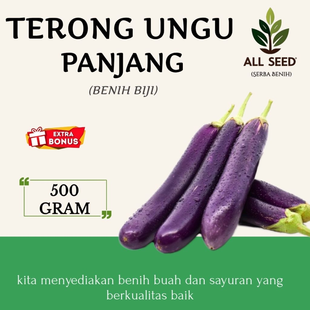 ( 500 gram ) Benih terong ungu panjang | bibit biji terong ungu | terong ungu panjang