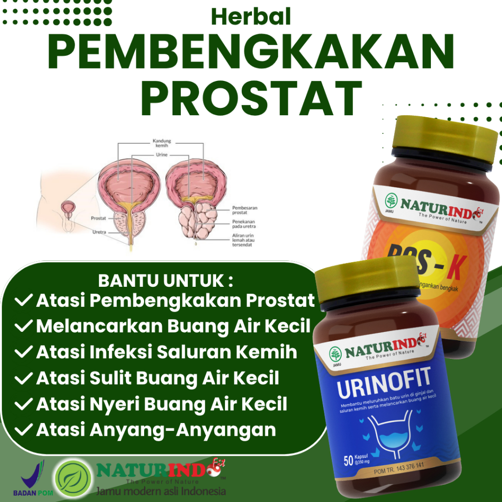 Herbal Pembengkakan Prostat Nyeri Saat Buang Air Kecil Kecilkan & Redakan Gejala Prostat
