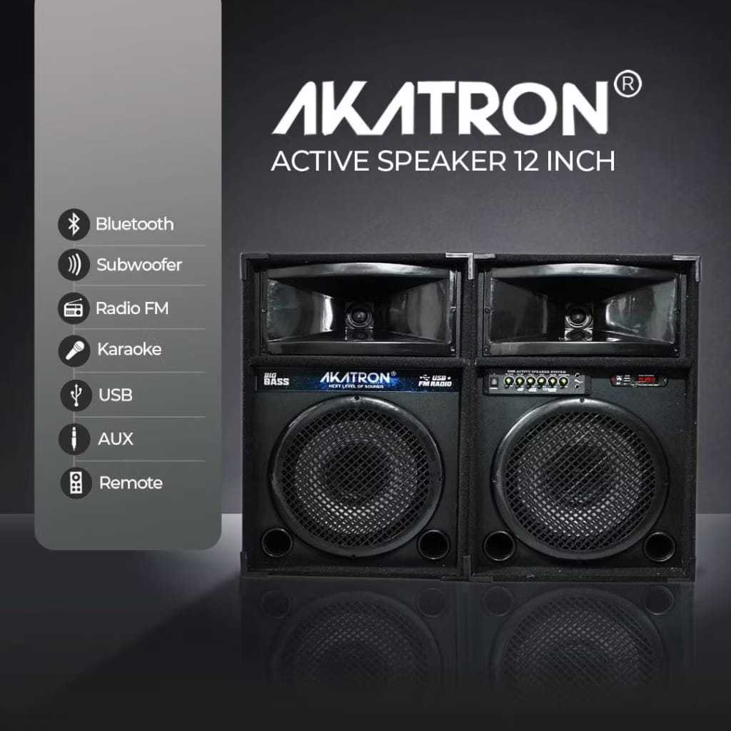 SPEAKER 12 INCH AKATRON 1 SET BONUS mic wirees jbl VM9