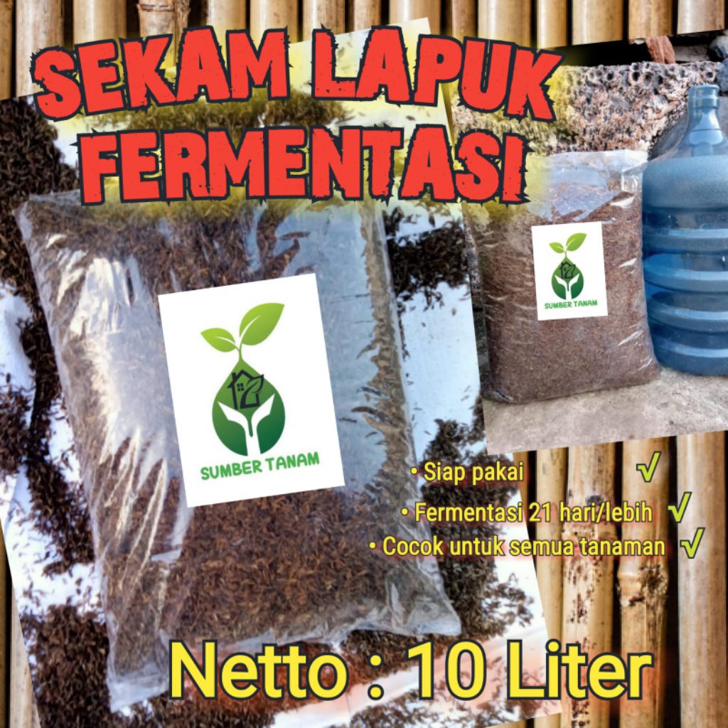 MEDIA TANAM SEKAM FERMENTASI / SEKAM LAPUK 10 LITER