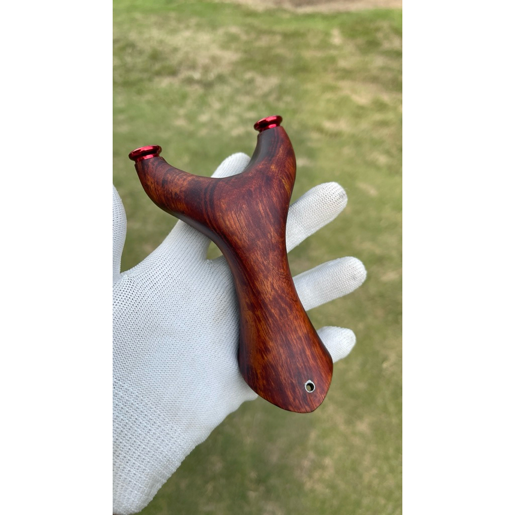 ketapel kayu rengas merah