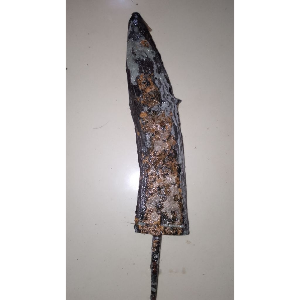 betok kabudan temuan darat