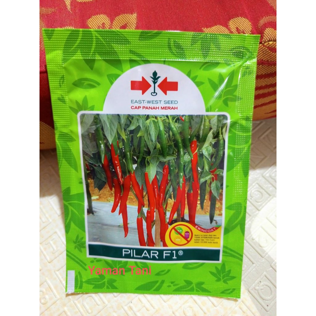 Benih Cabe Besar PILAR F1 10 Gram