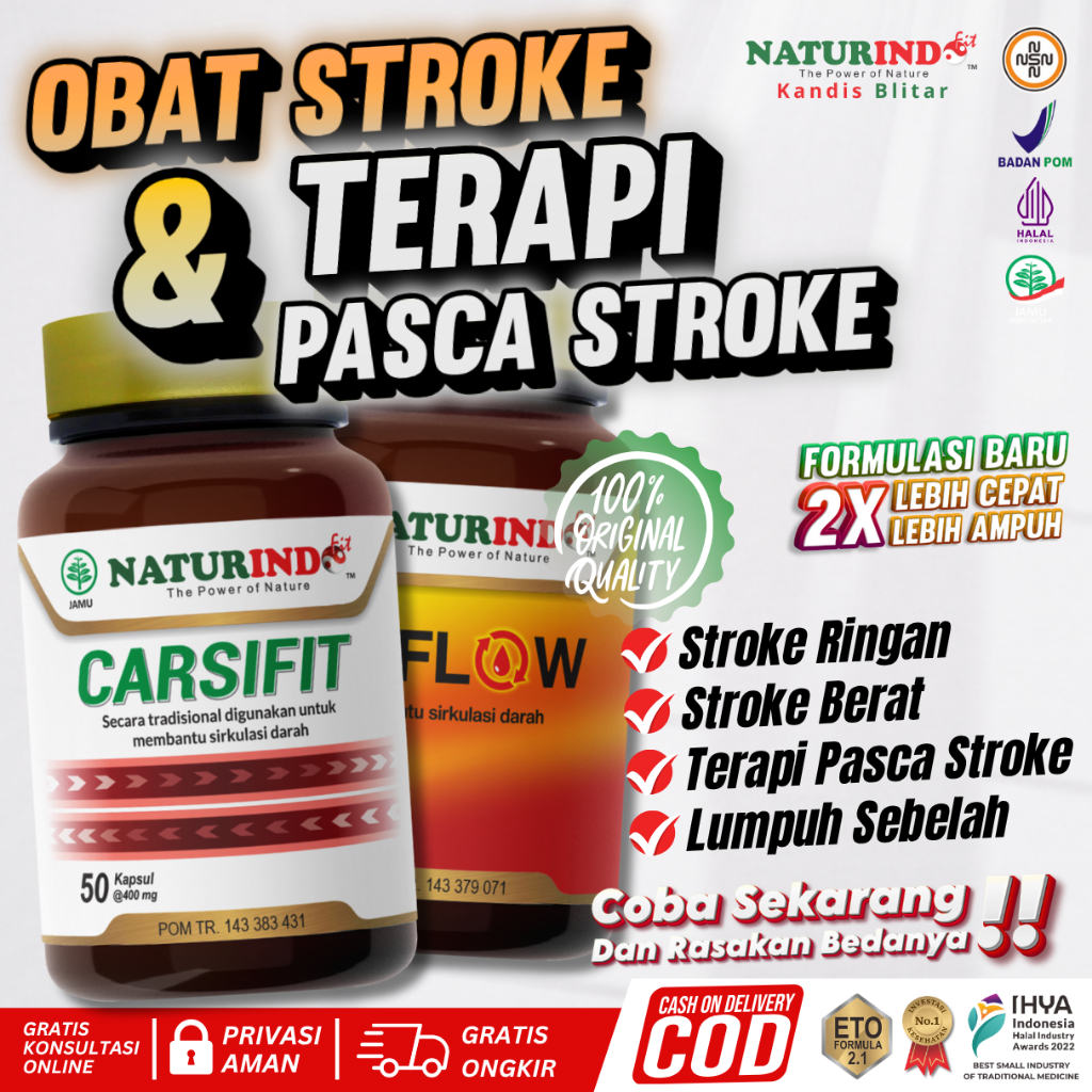 OBAT STROKE RINGAN BERAT LUMPUH KANAN KIRI TERAPI PASCA STROKE HERBAL CARSIFIT ORI NATURINDO